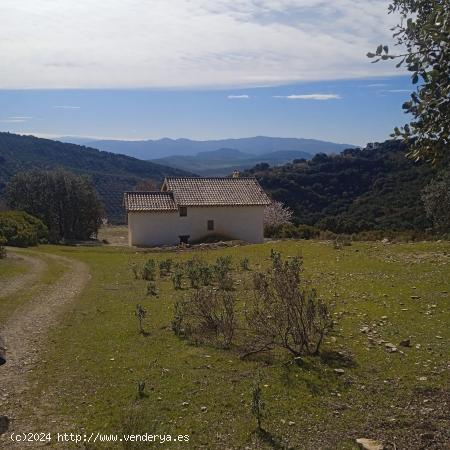 Impresionantes casas de Campo ideales para turismo rural. - GRANADA