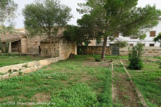  CASA PARA REFORMAR EN ARIANY - BALEARES 