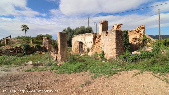  Prat en Las Casas de Alcanar - TARRAGONA 