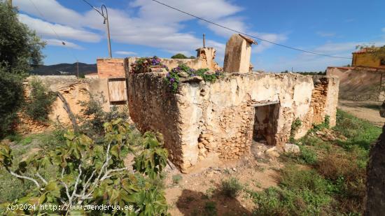 Prat en Las Casas de Alcanar - TARRAGONA