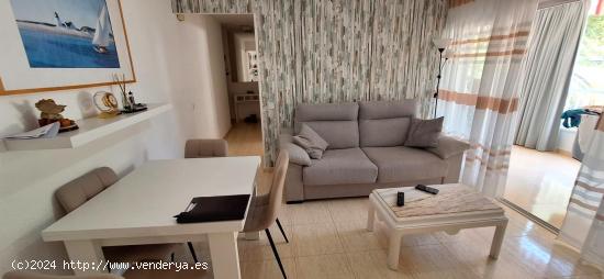 APARTAMENTO EN AV DEL MEDITERRANEO - ALICANTE