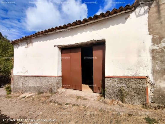  SE VENDE ALMACÉN EN SUELO URBANO EN VENTA EN LOS MARINES (HUELVA) ESPAÑA. - Marines (Los) 