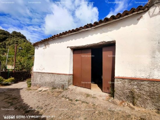 SE VENDE ALMACÉN EN SUELO URBANO EN VENTA EN LOS MARINES (HUELVA) ESPAÑA. - Marines (Los)