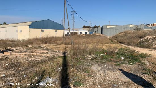  SE VENDE TERRENO EN PARTIDO EL POTROX-ALCANTARILLA - MURCIA 