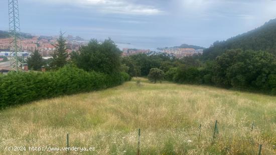  FINCA RÚSTICA EN CASTRO URDIALES, CANTABRIA (CALLLE VALMASEDA) - CANTABRIA 