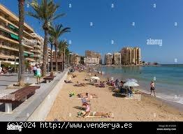  Precioso apartamento 2 dorm. en Torrevieja 600m de la playa del Cura - ALICANTE 