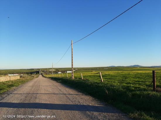  Finca de 8 hectáreas Casar de Cáceres - CACERES 