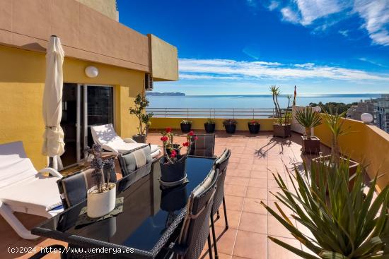 Ático en primera línea de playa con 201m2 construidos y varias terrazas con vistas al mar. - ALICA