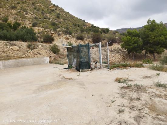  CASA  DE CAMPO EN PLENA NATURALEZA  DE CREVILLENTE - ALICANTE 