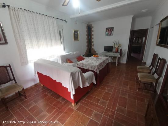 Chalet en La Pineda La Carlota (Córdoba) - CORDOBA