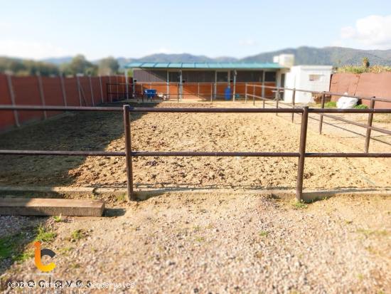 TERRENO EN JIMENA CON CASA PREFABRICADA - CADIZ