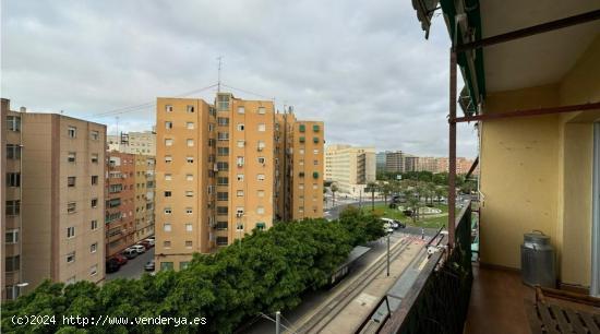 ESPLENDIDA VIVIENDA SEÑORIAL - ALICANTE