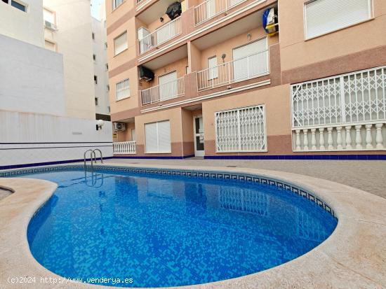  Se vende piso en Torrevieja a 300 metros de la Playa del Cura con piscina comunitaria - ALICANTE 