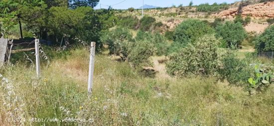  CASA CUEVA EN MACISVENDA - MURCIA 