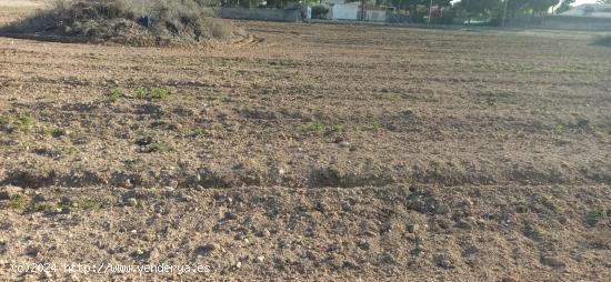 PARCELA PARA CONSTRUIR EN VALVERDE - ALICANTE