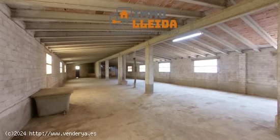 Nave industrial en venta  en Torregrossa - Lleida