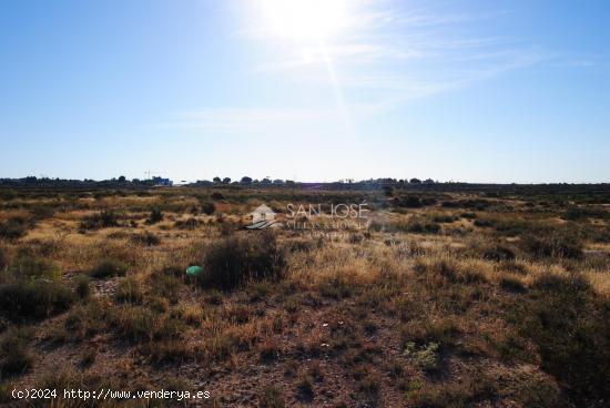  SE VENDE FINCA RUSTICA EN PARTIDA DE ALTABIX ELCHE - ALICANTE 