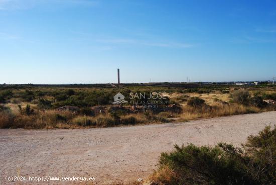 SE VENDE FINCA RUSTICA EN PARTIDA DE ALTABIX ELCHE - ALICANTE