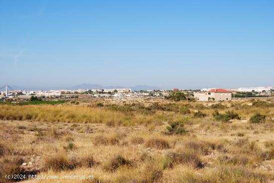 SE VENDE FINCA RUSTICA EN PARTIDA DE ALTABIX ELCHE - ALICANTE