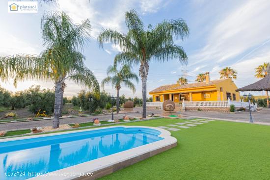  Finca con magnífica vivienda en Chucena, autovía Sevilla - Huelva - HUELVA 