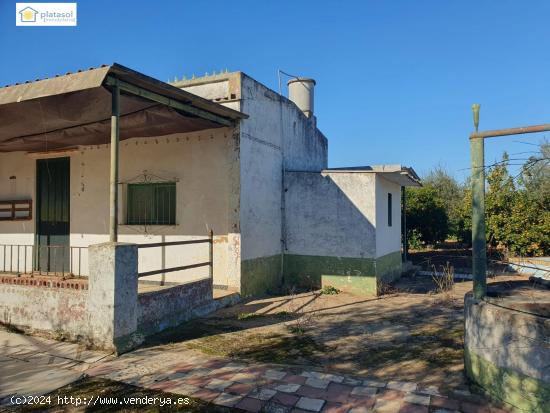 Finca Rural con vivienda para reformar, piscina y pozo propio en Aznalcazar, Sevilla - SEVILLA