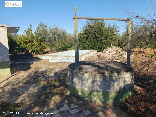 Finca Rural con vivienda para reformar, piscina y pozo propio en Aznalcazar, Sevilla - SEVILLA