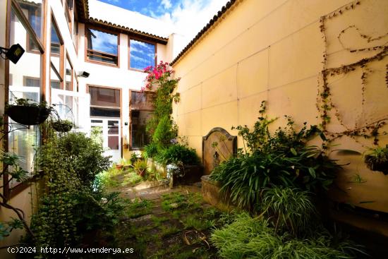 Gran Casa Canaria en el Centro de La Laguna - SANTA CRUZ DE TENERIFE