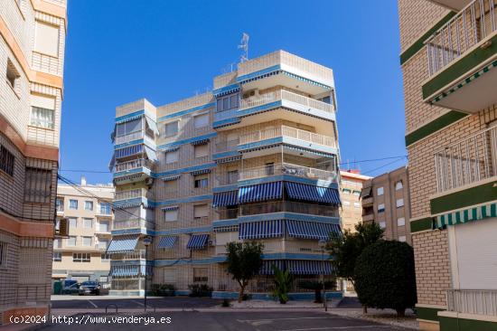  ALQUILER PARA TODO EL AÑO APARTAMENTO EN PLAYA DE LEVANTE - ALICANTE 