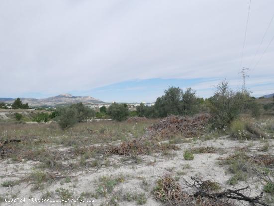 TERRENO RÚSTICO EN LA ZONA DE LA ZAPATERA DE SAX - ALICANTE