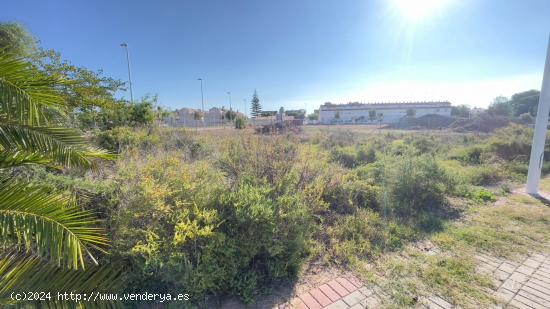 IMPRESIONANTE  URBANO EN LA PLAYA DE ALMARDA DE SAGUNTO - VALENCIA