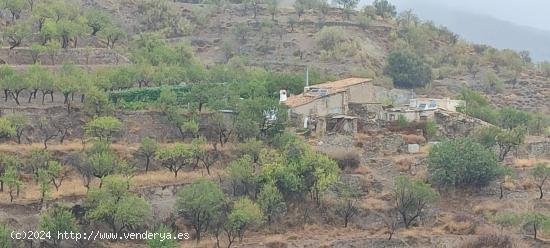  VENTA EN SIERRO ( ALMERÍA ) DE TERRENO PARA CAZA. - ALMERIA 