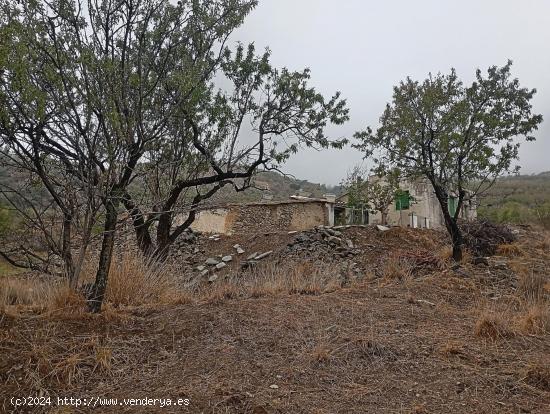 VENTA EN SIERRO ( ALMERÍA ) DE TERRENO PARA CAZA. - ALMERIA