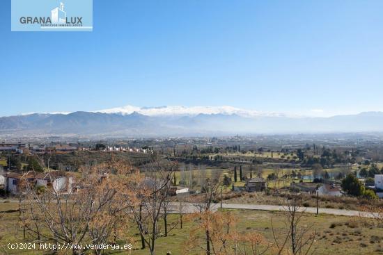 LA FINCA AL MEJOR PRECIO QUE ENCONTRARÁS EN PEDRO VERDE - GRANADA