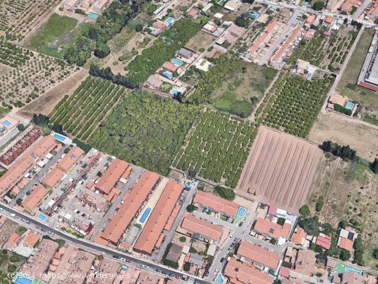 TERRENO RUSTICO EN ALMAZORA - CASTELLON