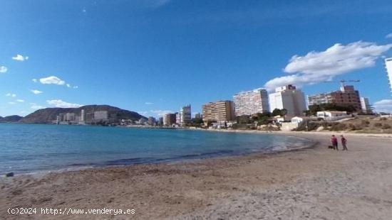  PLAYA SAN JUAN (Cabo Huertas) - ALICANTE 