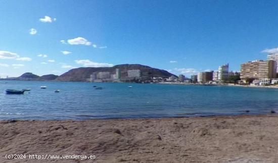 PLAYA SAN JUAN (Cabo Huertas) - ALICANTE