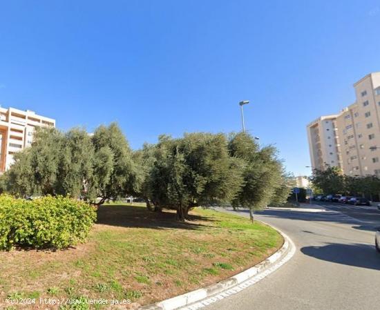 PLAYA SAN JUAN (Cabo Huertas) - ALICANTE