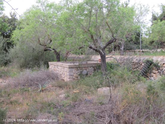 Finca rústica en Bunyola con vivienda en construcción - BALEARES