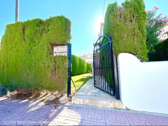 Torreblanca. Bungaló alto con solárium y piscina - ALICANTE