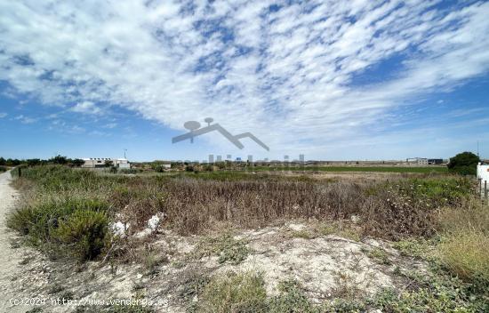 PARCELA RÚSTICA EN LA ZONA DE RANCHO PEREJIL - CADIZ