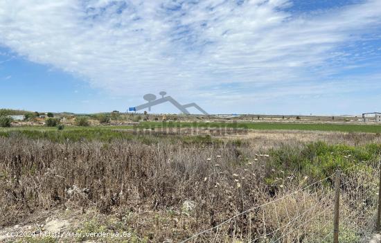 PARCELA RÚSTICA EN LA ZONA DE RANCHO PEREJIL - CADIZ