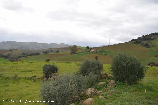 PARCELA 72.000 Metros CON VISTAS IMPRESIONANTES - MALAGA