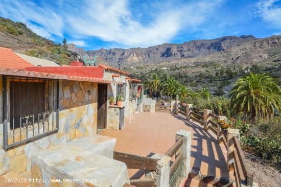 ¡Finca rústica con chalet y piscina privada en Santa Lucia! - LAS PALMAS