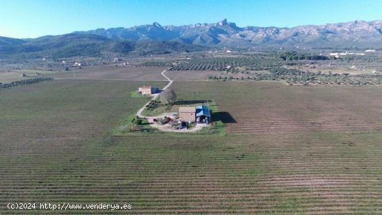  Exclusiva Finca Rústica de 60 hectáreas, con bodegas, 2 viviendas y 1 almacén - TARRAGONA 