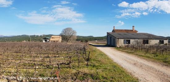 Exclusiva Finca Rústica de 60 hectáreas, con bodegas, 2 viviendas y 1 almacén - TARRAGONA