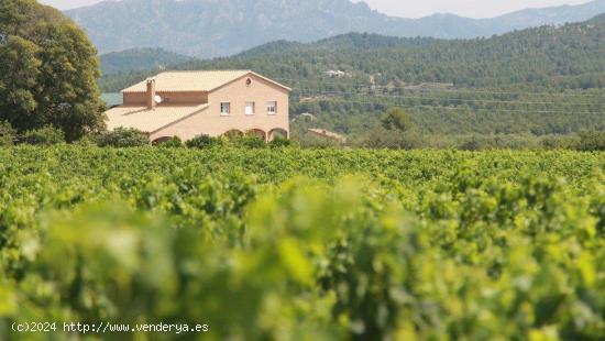 Exclusiva Finca Rústica de 60 hectáreas, con bodegas, 2 viviendas y 1 almacén - TARRAGONA