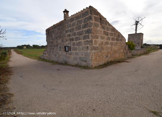  Finca a la venta en Muro - BALEARES 