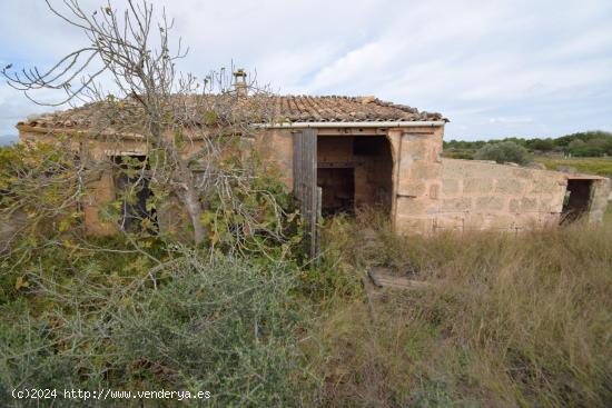 Finca a la venta en Muro - BALEARES