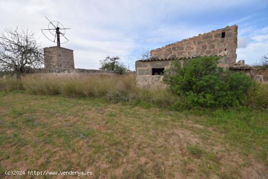 Finca a la venta en Muro - BALEARES