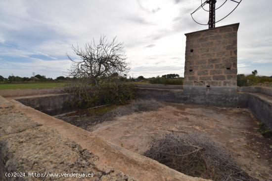 Finca a la venta en Muro - BALEARES